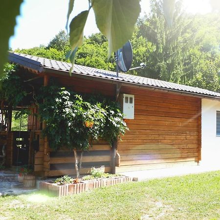 Studio Apartman Firdaus-Bihac, Dobrenica Bb Eksteriør billede