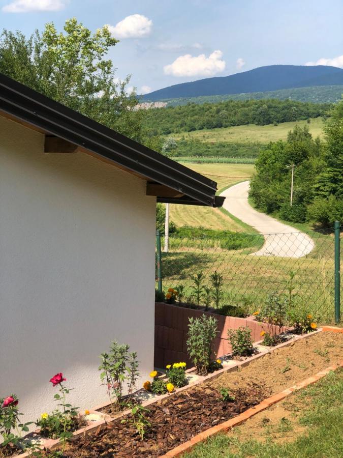 Studio Apartman Firdaus-Bihac, Dobrenica Bb Eksteriør billede