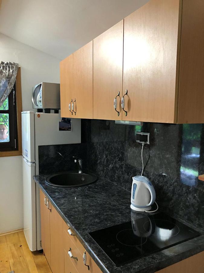 Studio Apartman Firdaus-Bihac, Dobrenica Bb Eksteriør billede